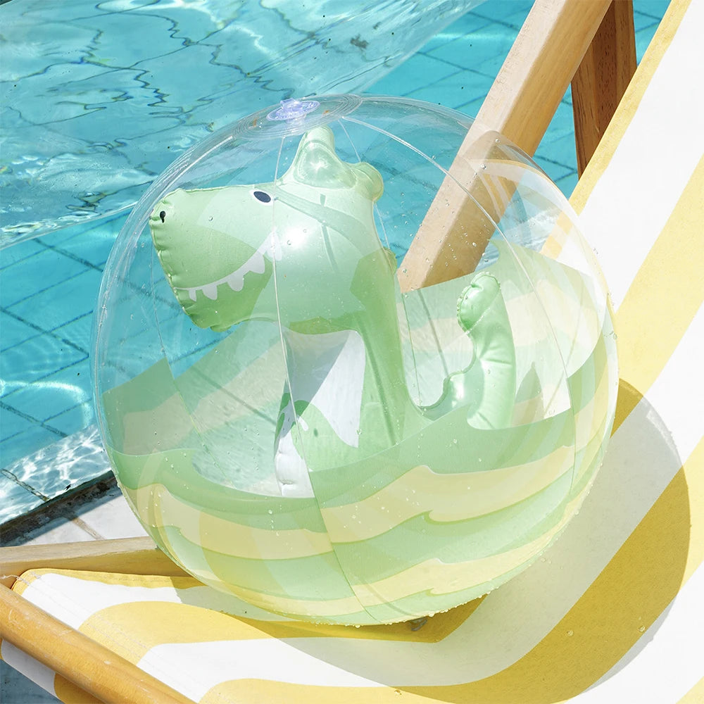 Inflatable Pool Float & Beach Ball